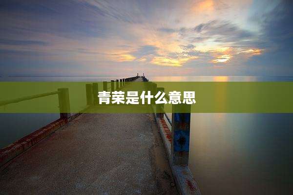 青荣是什么意思