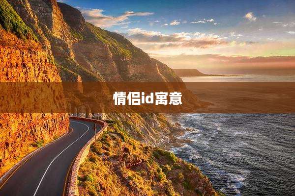 情侣id寓意