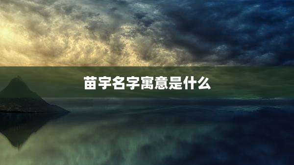 苗宇名字寓意是什么