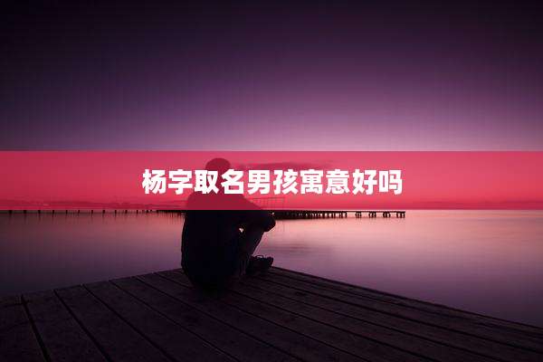 杨字取名男孩寓意好吗