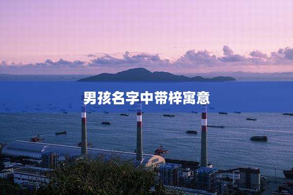 男孩名字中带梓寓意