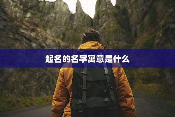 起名的名字寓意是什么