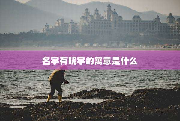 名字有晓字的寓意是什么