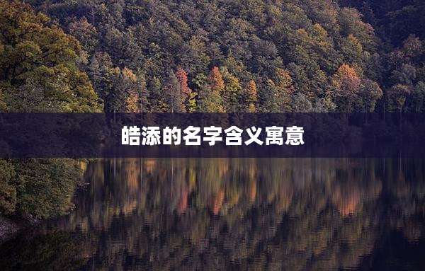 皓添的名字含义寓意