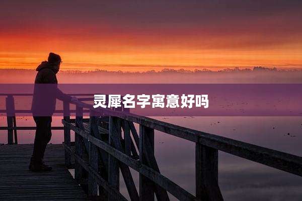 灵犀名字寓意好吗