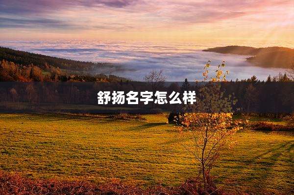 舒扬名字怎么样