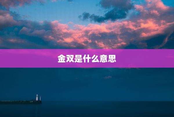 金双是什么意思