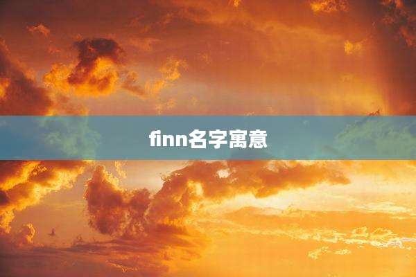 finn名字寓意