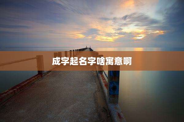 成字起名字啥寓意啊