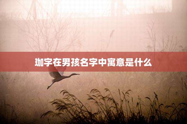 珈字在男孩名字中寓意是什么