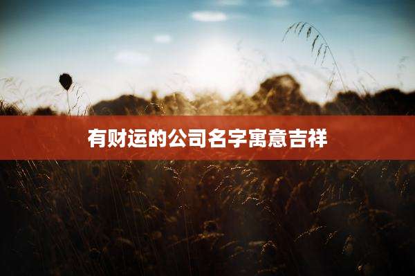 有财运的公司名字寓意吉祥