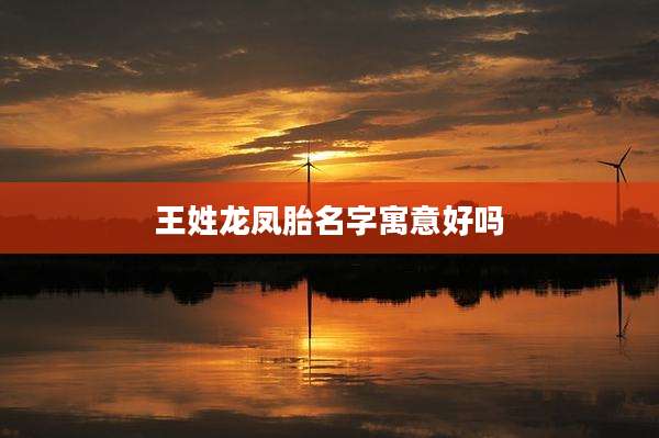 王姓龙凤胎名字寓意好吗