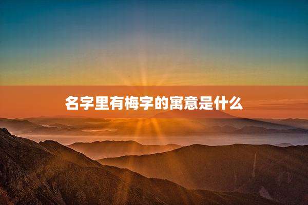 名字里有梅字的寓意是什么