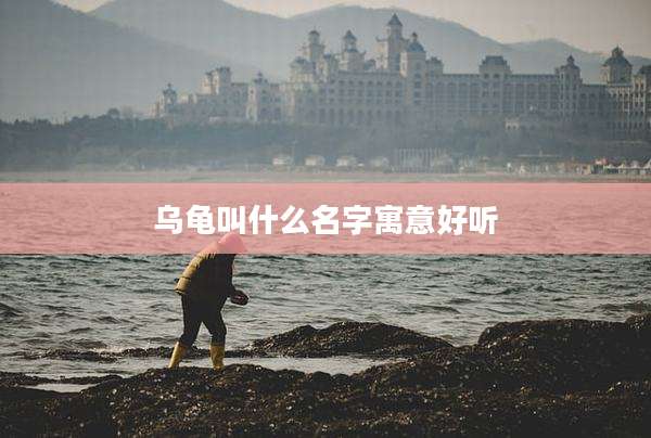 乌龟叫什么名字寓意好听