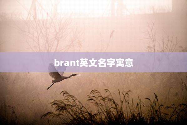 brant英文名字寓意