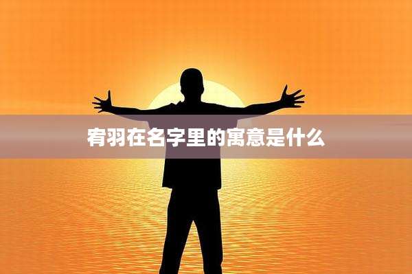 宥羽在名字里的寓意是什么