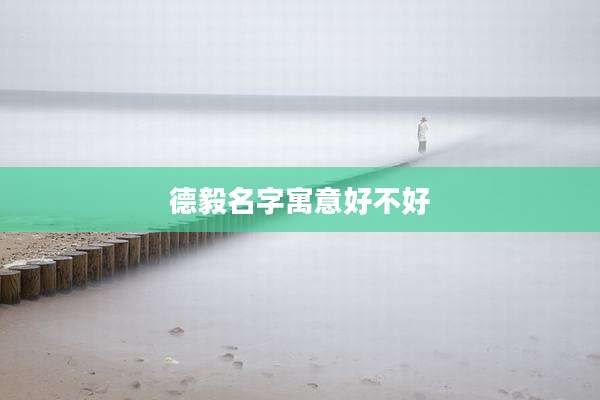 德毅名字寓意好不好
