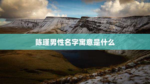 陈瑾男性名字寓意是什么