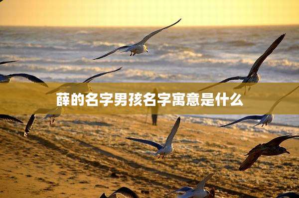 薛的名字男孩名字寓意是什么