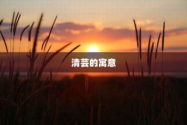 清芸的寓意