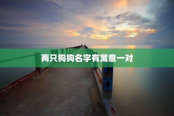 两只狗狗名字有寓意一对