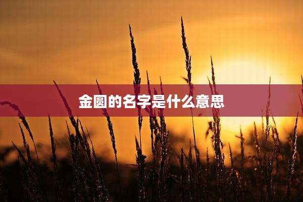 金圆的名字是什么意思