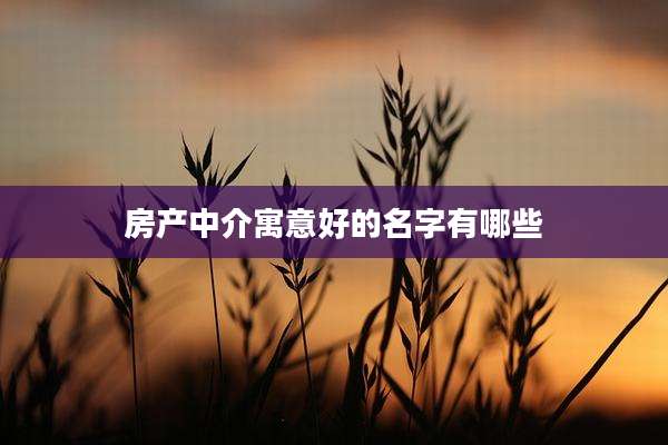 房产中介寓意好的名字有哪些