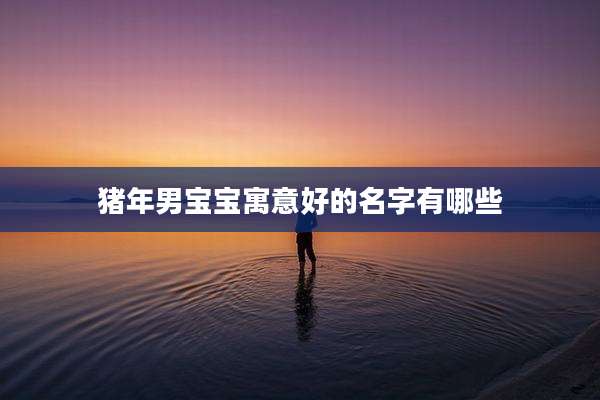 猪年男宝宝寓意好的名字有哪些