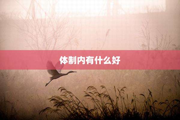 体制内有什么好