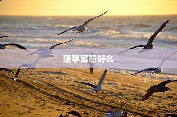 瑾字寓意好么