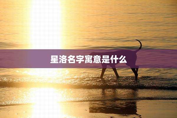 星洛名字寓意是什么