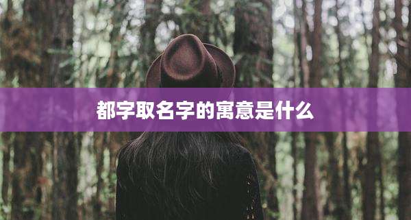 都字取名字的寓意是什么