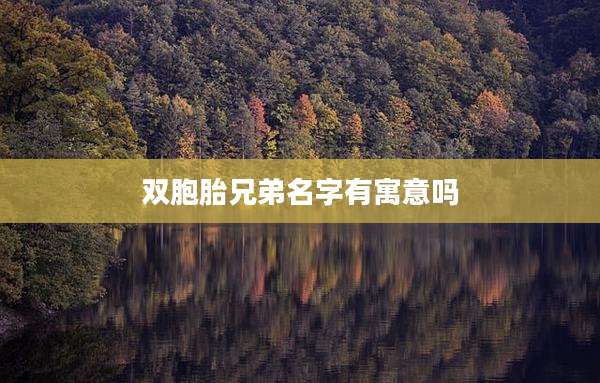 双胞胎兄弟名字有寓意吗