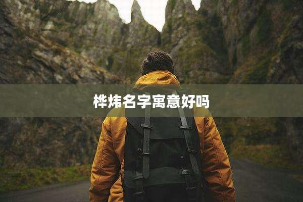 桦炜名字寓意好吗