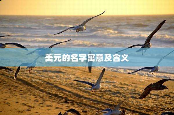 美元的名字寓意及含义