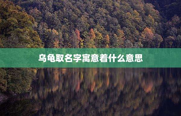 乌龟取名字寓意着什么意思