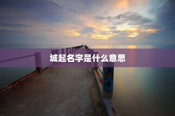 城起名字是什么意思