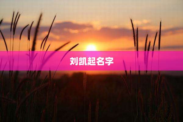 刘凯起名字