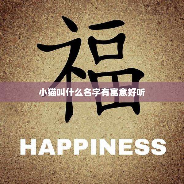 小猫叫什么名字有寓意好听