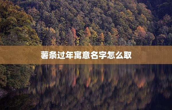 薯条过年寓意名字怎么取