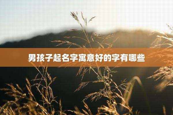 男孩子起名字寓意好的字有哪些