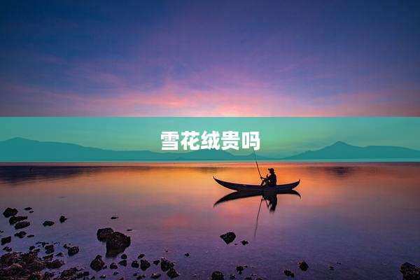 雪花绒贵吗