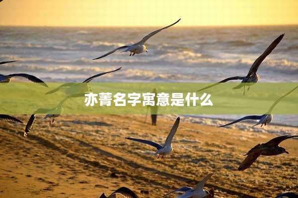 亦菁名字寓意是什么