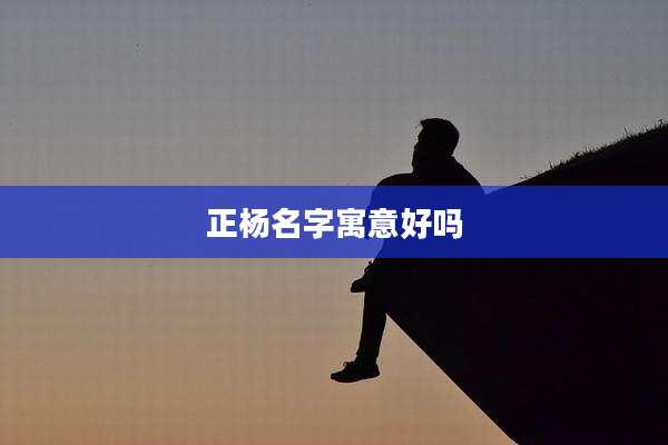 正杨名字寓意好吗