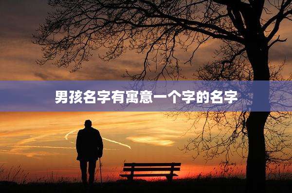 男孩名字有寓意一个字的名字
