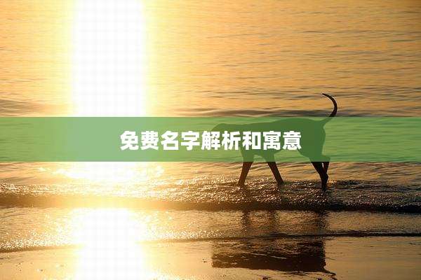 免费名字解析和寓意