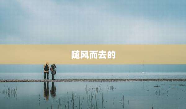 随风而去的