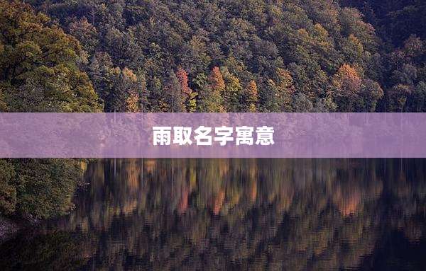 雨取名字寓意