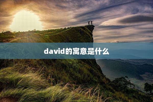 david的寓意是什么