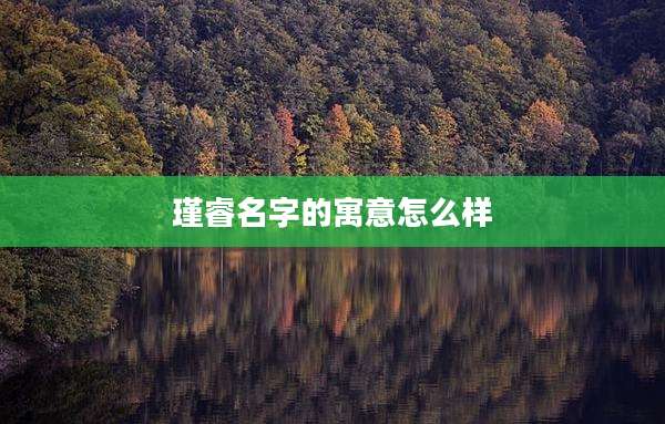 瑾睿名字的寓意怎么样